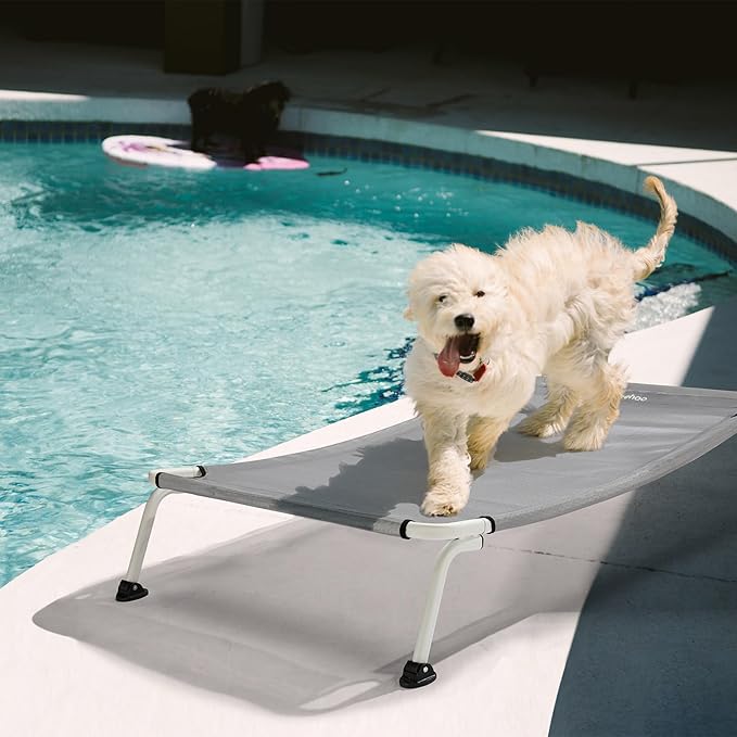 Veehoo Elevated Dog Bed for Outdoor, Cooling Waterproof Raised Dog Cots Beds for Medium Dogs, Curved Off Ground Pet Hammock Cot Lifted for Outside, up to 65lbs, White Legs, Grey 32"-Mewly Pet