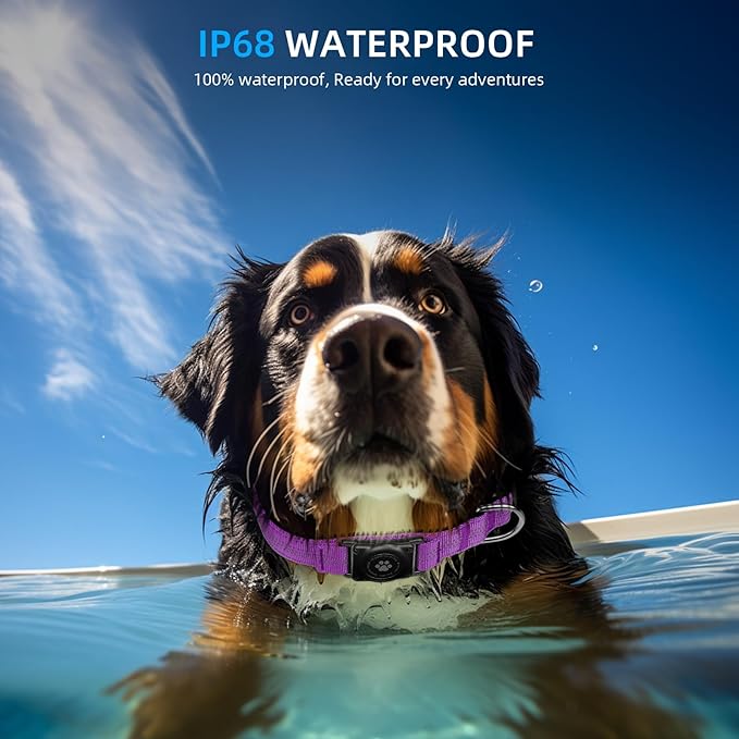 Reflective Air Tag Dog Collar - 100% Waterproof Dog Collar AirTag Holder | Extra-Durable, Soft Padded AirTag Dog Collars for Small Medium Large Dogs-Mewly Pet