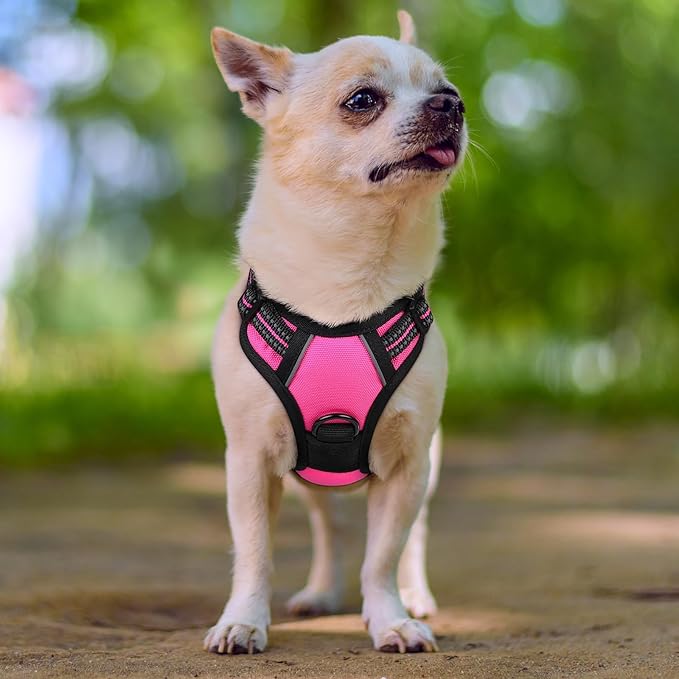 rabbitgoo Dog Harness No Pull with 2 Leash Clips, Adjustable Soft Padded, Reflective Oxford No Choke Pet Vest with Easy Control Handle for Puppy, Hot Pink, XS-Mewly Pet
