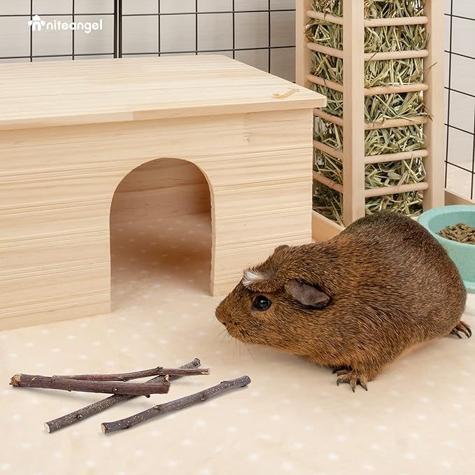 Niteangel Apple Sticks Natural Chew Toys for Rabbits, Chinchilla, Guinea Pigs, Hamsters and Other Small Animals (Apple Twig)-Mewly Pet