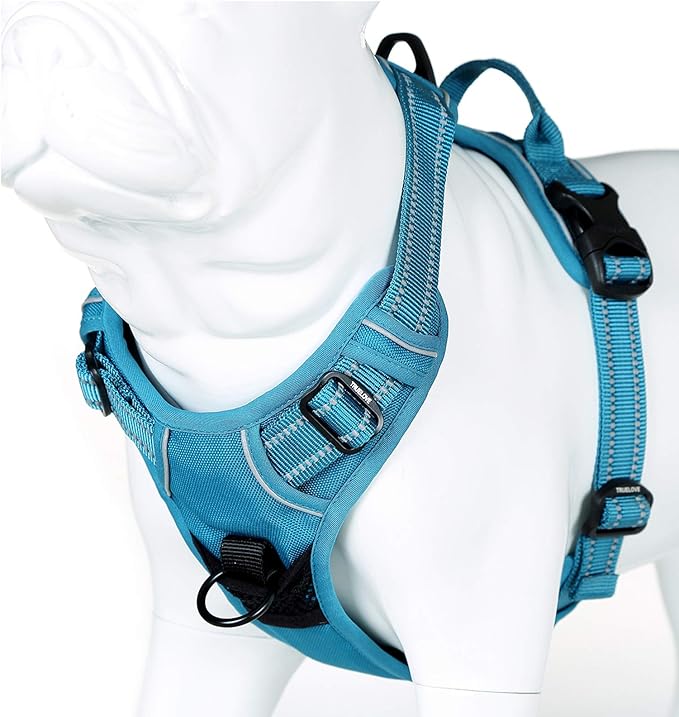 Truelove No Pull Dog Harness with Easy Control Handle and 2 Leash Attachments,Reflective Adjustable Pet Vest-Mewly Pet