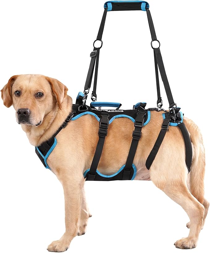 Dog Lift Harness for Large Male Dogs, 2-in-1 Detachable Support Harness, Full Body Carrying with 4 Handles, Dog Sling for Large Dogs Hind Leg Support(Black, X-Large)-Mewly Pet