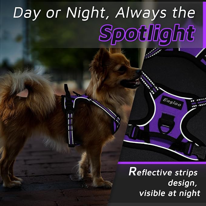 Eagloo Small Dog Harness No Pull, Service Vest with Reflective Strips and Control Handle, Adjustable and Comfortable for Easy Walking, No Choke Pet Harness with 2 Metal Rings, Purple, XS-Mewly Pet