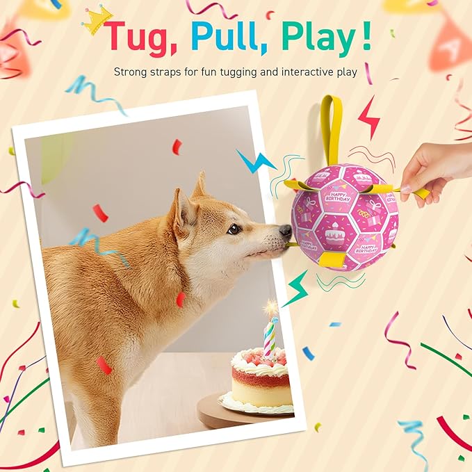 QDAN Dog Birthday Toys, Squeaky Dogs Toys, Dog Soccer Ball with Straps, Puppy Gifts, Herding Balls with Bell Inside, Water Toy, Durable Ropes Ball for Medium Large Dogs (8 inch)-Mewly Pet