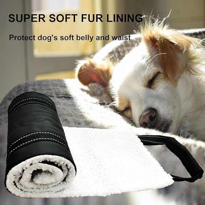 Dog Lift Harness - Adjustable Sling for Rear Legs with Soft Support for Senior, Injured, Disabled Dogs After ACL Surgery - Helping Pets with Canine Aid and Rehab Support (M)-Mewly Pet