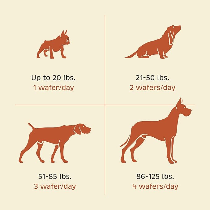 Health + Vitality for Dogs - Pet Supplement for Immune System, Coat, Liver Health & More - Dog Multifunctional Support with Choline, Calcium, Zinc, & Vitamins D and A - 90 Chewable Wafers-Mewly Pet