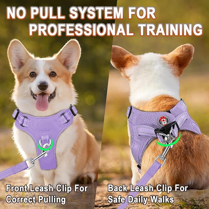 BARKBAY Dog Harness, Reflective Adjustable Puppy No Pull Harness, Breathable Soft for Small and Medium Dogs, Violet Purple, XXS-Mewly Pet