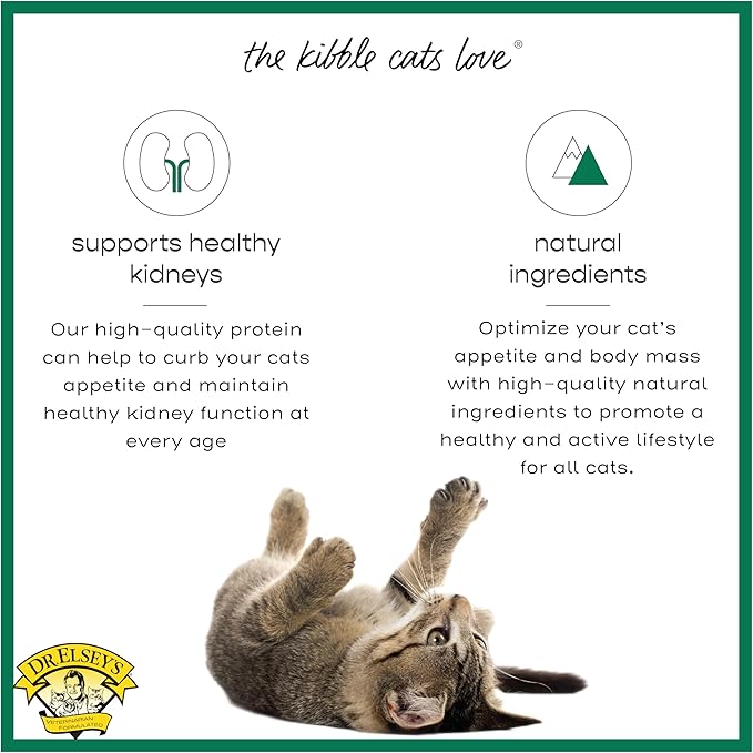 Dr. Elsey's cleanprotein Dry Kibble Duck 6.6 lb Bag-Mewly Pet