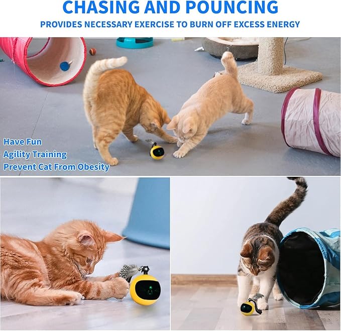 Interactive Cat Ball Toy with Remote Control, Automatic Moving Cat Toys Ball with Feather Tail, Electric Puzzle Toy for Chasing and Hunting (Yellow)-Mewly Pet