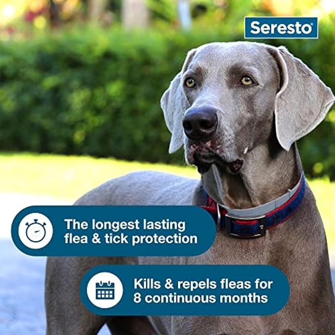 Seresto Large Dog Vet-Recommended Flea & Tick Treatment & Prevention Collar for Dogs Over 18 lbs. | 8 Months Protection-Mewly Pet