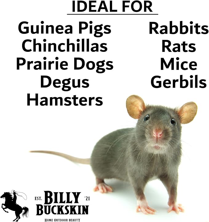 Chew Toys for Chinchilla, Lava Block Toys for Small Pet Animals like Rat, Mice, Bunny, Hamster, Degus, Gerbils, Pumice Blocks, Guinea Pig Toy, Rabbit Chew Toy by Billy Buckskin - Pack of 8-Mewly Pet