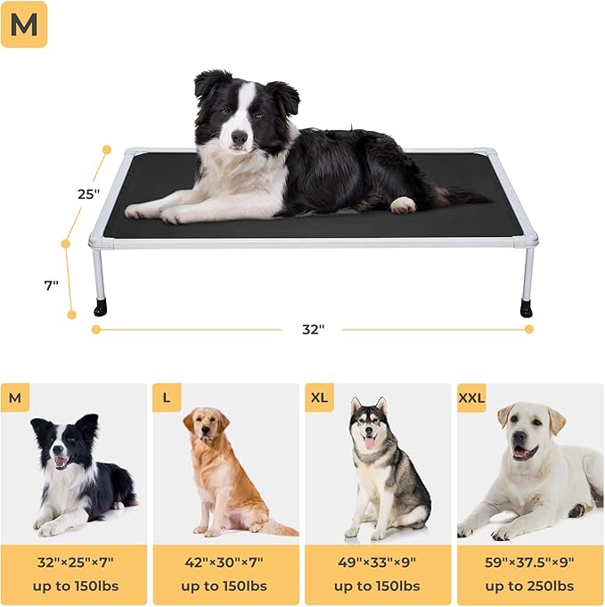 Veehoo Chewproof Elevated Dog Bed - Cooling Raised Pet Cot, Breathable Mesh, Washable & Non-Slip for Medium Dogs, Indoor/Outdoor, Black Mat and Silver Metal Frame, 32x25inches (Model CWC2203B03)-Mewly Pet
