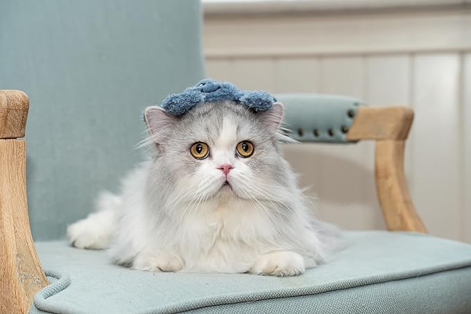 Interactive Catnip Cat Plush Toy, Ocean Theme, 5'', for All Breed Size Cats (Crab)-Mewly Pet