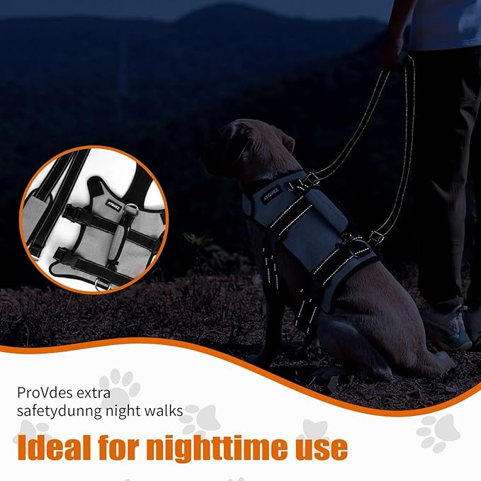 Ayquez Dog Lift Harness with Storage and Transport Bag, Dog Harness with Handle for Lifting & Hip dysplasia, arnés para Perros pequeños, pechera para Perros (Gray, XL)-Mewly Pet