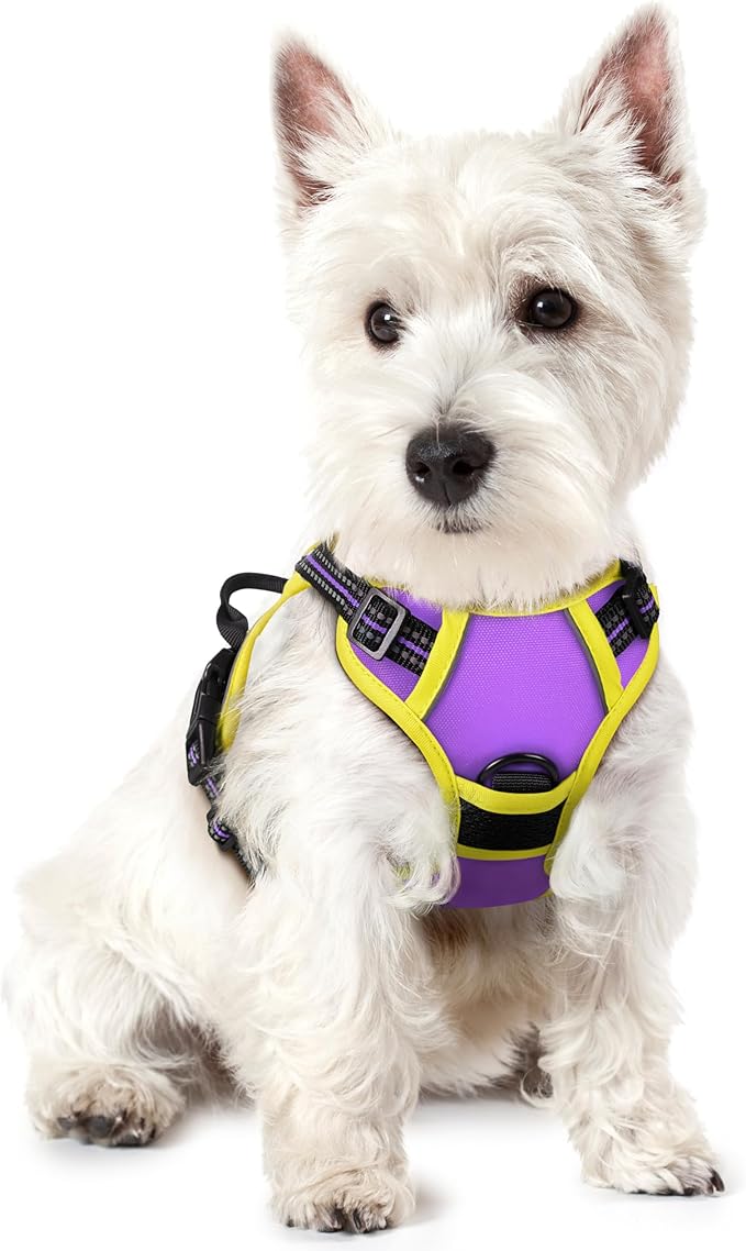 rabbitgoo Dog Harness No Pull with 2 Leash Clips, Adjustable Soft Padded, Reflective Oxford No Choke Pet Vest with Easy Control Handle for Puppy, Purple & Yellow, XS-Mewly Pet