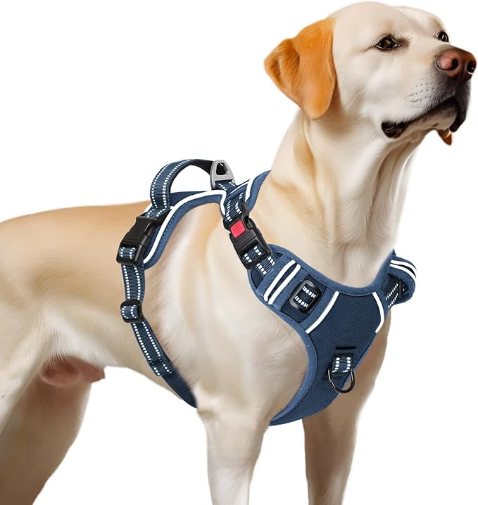 Timos Dog Harness Large Sized, No Pull Pet Harness with Neck Lockable Snap,No Choke Front Clip Dog Reflective Vest,Adjustable Metal Rings 3 Buckles,Easy Control Handle for Large Dogs Royal Blue L-Mewly Pet