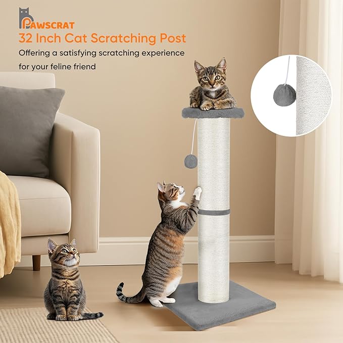 PAWSCRAT Cat Scratching Post 32" Tall, Large Diameter Natural Sisal Cat Scratch Post with Dangling Ball, Scratch-Resistant and Durable for Indoor Cats, Protect Your Furniture, LightGrey-Mewly Pet