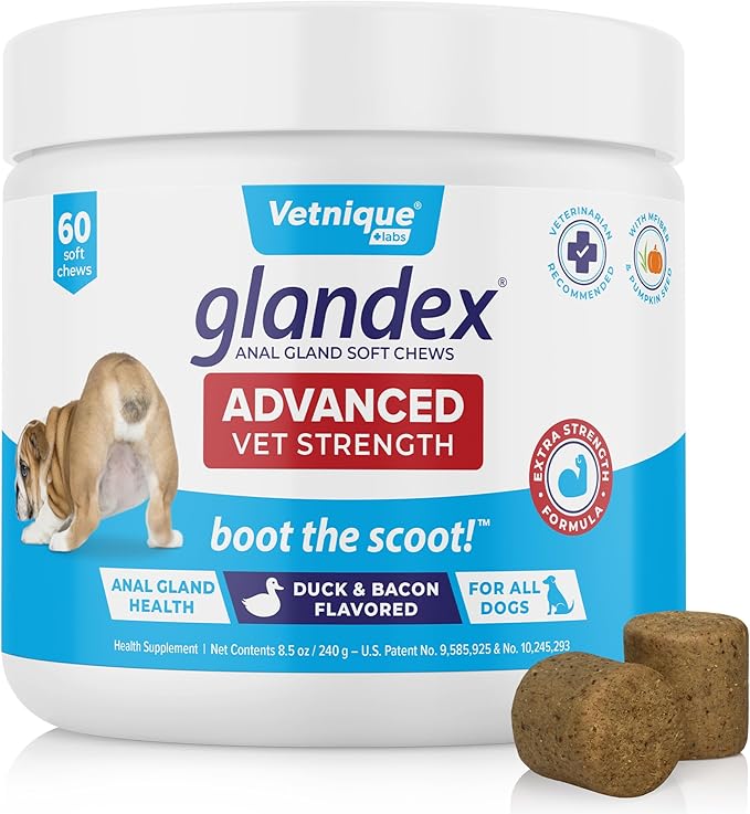 Vetnique Glandex Anal Gland Soft Chew Treats with Pumpkin for Dogs Digestive Enzymes, Probiotics Fiber Supplement for Dogs Boot The Scoot (Advanced Strength Duck/Bacon Chews (Vegetarian), 60 Ct)-Mewly Pet