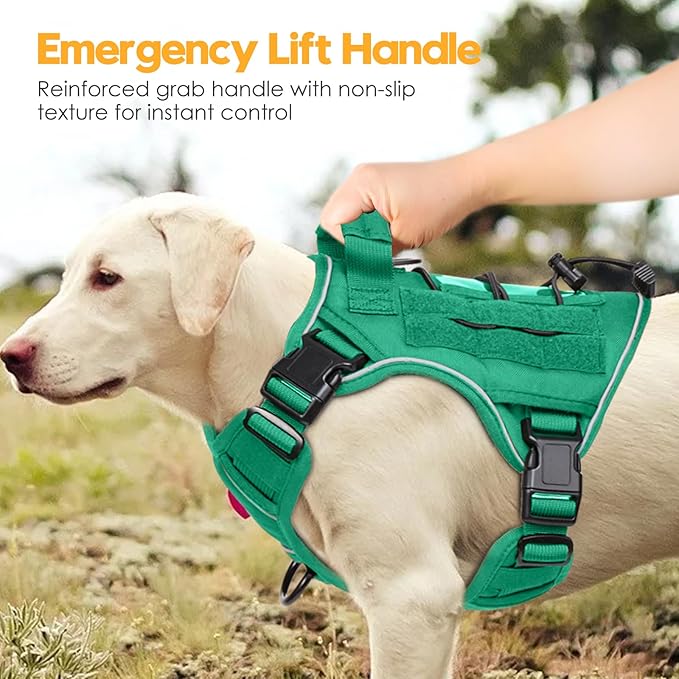 Heavy-Duty Tactical Dog Harness for Large Dogs, No Pull Adjustable Reflective Pet Vest with Molle System, K9 Military-Grade Control for Service Training, Outdoor & 10+ Breeds, Turquoise, Small-Mewly Pet