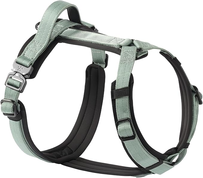 CLEPAWS Dog Harness for Large Dogs, No Pull Dog Harness Easy Walk with Metal Hardware, Ergonomic Y-Shaped Design, Soft Padding, Padded Handle, Durable High-Tensile Nylon (Seabreeze, L)-Mewly Pet