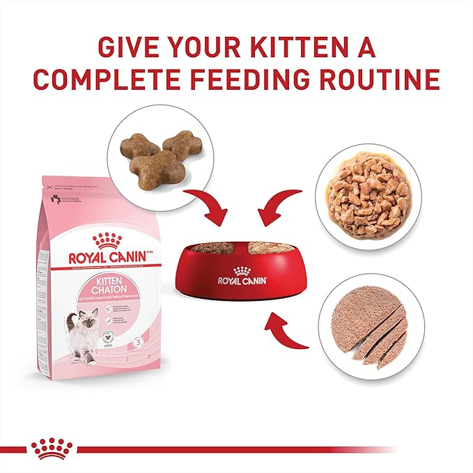 Royal Canin Feline Health Nutrition Kitten Wet Food Variety Pack, 12 Pack, 2 Varieties, 3 oz Cans-Mewly Pet