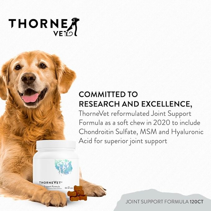 ThorneVET Joint Support Formula – Dog & Cat Joint Health Support, 120 Soft Chews-Mewly Pet