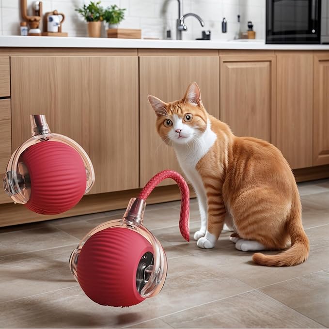 Cat Toys Cat Toys for Indoor Cats Interactive Cat Toys Smart Obstacle Avoidance Cat Ball Indoor Cat Boredom Interactive Toys (Grizzly)-Mewly Pet