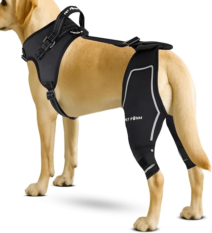 Comfortable Dog Knee Brace for Both Hind Legs with Harness - for ACL Tear, Luxating Patellae, Osteoarthritis & Instability - for Recovery & Injury Prevention in Active/Aging Dogs - (Medium)-Mewly Pet