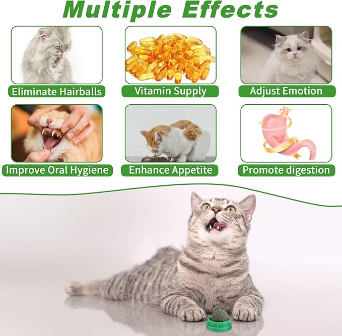 CCINEE 6PCS Catnip Balls for Cats Wall Catnip Toys Edible Cat Toys for Cat Lick Safe Healthy Kitten Chew Toys Teeth Cleaning Dental Cat Toys-Mewly Pet