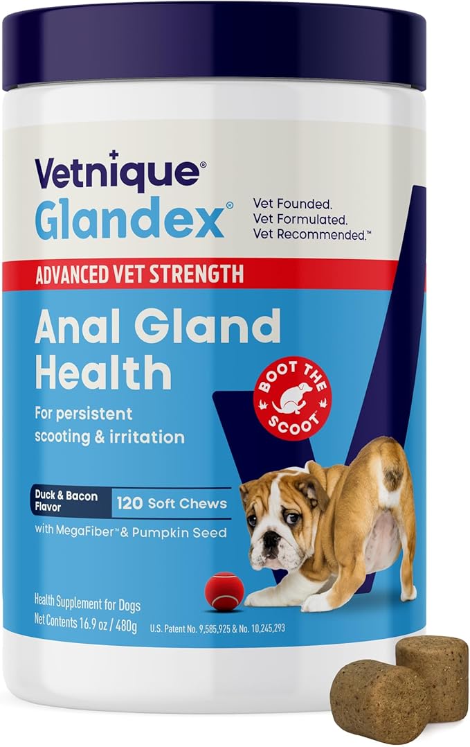Vetnique Glandex Anal Gland Soft Chew Treats with Pumpkin for Dogs Digestive Enzymes, Probiotics Fiber Supplement for Dogs Boot The Scoot (Advanced Strength Duck/Bacon Chews (Vegetarian), 120 Ct)-Mewly Pet