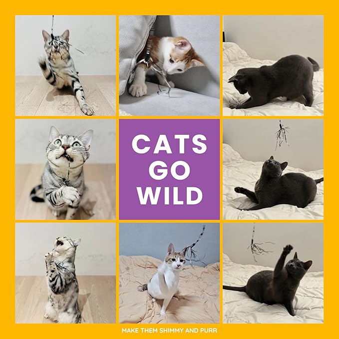 Cat Wand 38" - Retractable Cat String Toy with Spider Teaser and Refill, Perfect Interactive Toy for Indoor Cats and Kittens-Mewly Pet