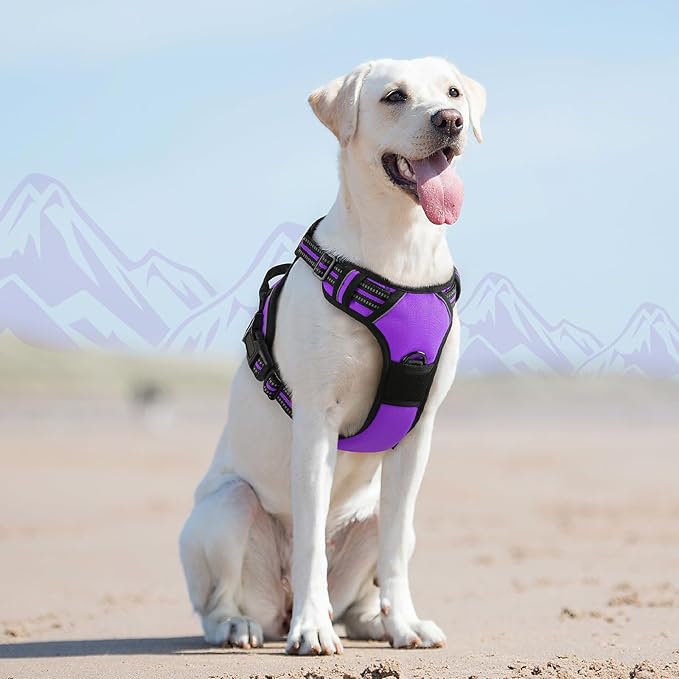 Eagloo Dog Harness for Large Dogs, No Pull Service Vest with Reflective Strips and Control Handle, Adjustable and Comfortable for Easy Walking, No Choke Pet Harness with 2 Metal Rings, Purple, L-Mewly Pet