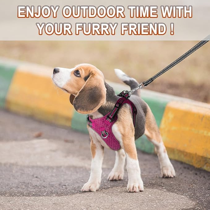 Dog Harness Step in Dog Vest Harness, Reflective Adjustable Puppy No Pull Harness Breathable Soft for Small and Medium Dogs Cats, Pink/Black, XXS-Mewly Pet