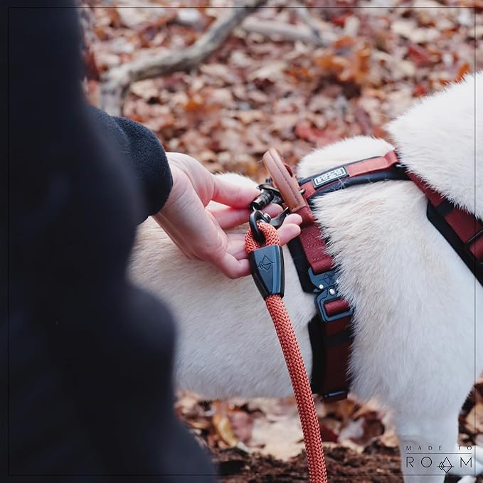 MADE TO ROAM Premium Explorer Harness - Y-Shaped Dog Harness with Adjustable Durable Nylon, Soft Padding, Metal Buckles and Leather Handle for Small, Medium, Large Dogs (New York Afterlight, Size 5)-Mewly Pet