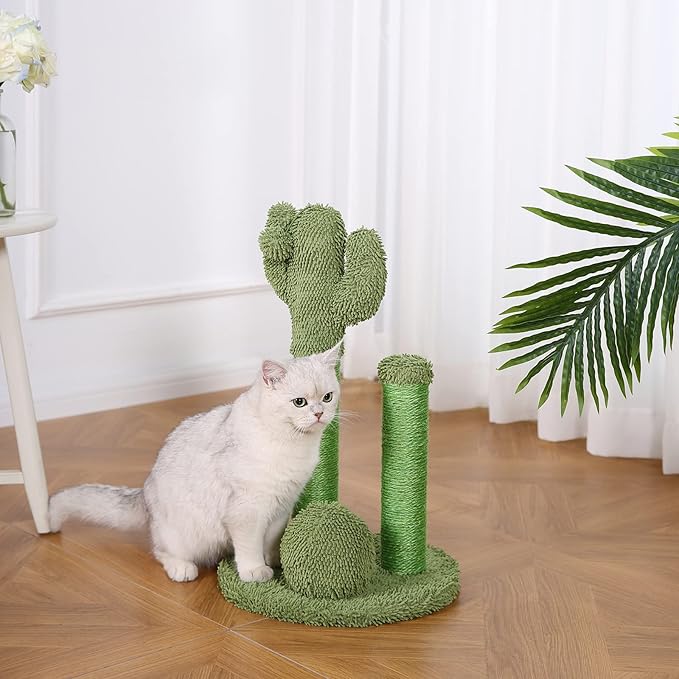 Amazon Basics Cat Scratcher - Indoor Cactus Triple Posts Cat & Kittens Scratching Post with Dangling Ball, Small (22.4"H) - Green-Mewly Pet