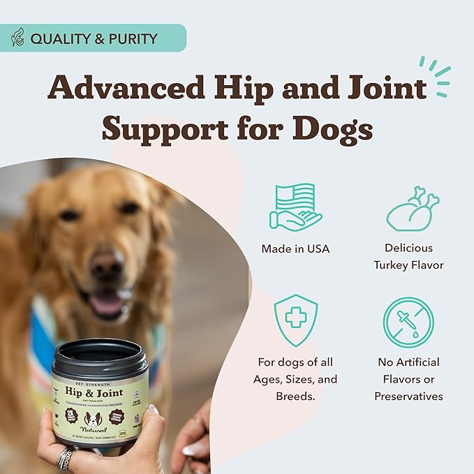 Natural Dog Company Vet Strength Hip & Joint Chews for Senior Dogs (90ct) Joint & Flexibility Support, Arthritis Relief for Senior Dogs, 1.3X Glucosamine, 2X Green Lipped Mussel & MSM for Dog Mobility-Mewly Pet