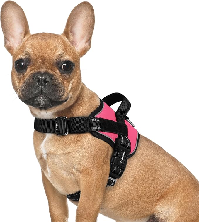 rabbitgoo Dog Harness for Small, Easy On Pet Vest with One Buckle, No Pull Adjustable Service Harness with D-Ring & Handle, Reflective for Safety Walking, Training, Pink, S-Mewly Pet