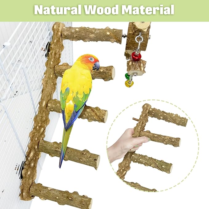 BNOSDM Natural Wood Bird Ladder Perch with Rotating Bell Toys-Exercise Stands for Parrot Climbing Chewing Parakeet Bridge Cage Accessories for Cockatiel, Conures, Lovebirds, Budgie-Mewly Pet