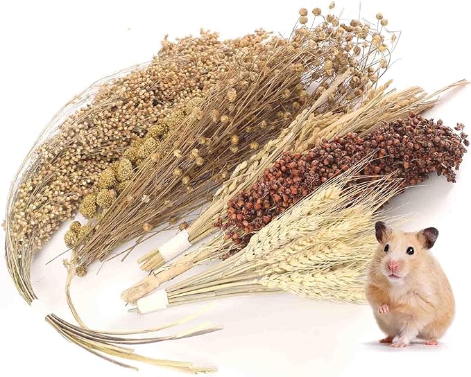 Hamster Spray Set - Natural Snack Grains & Chew Toys for Cage Decoration Accessories, Soft Bedding for Dwarf Syrian Hamsters, Gerbils, Mice & Small Pets-Mewly Pet