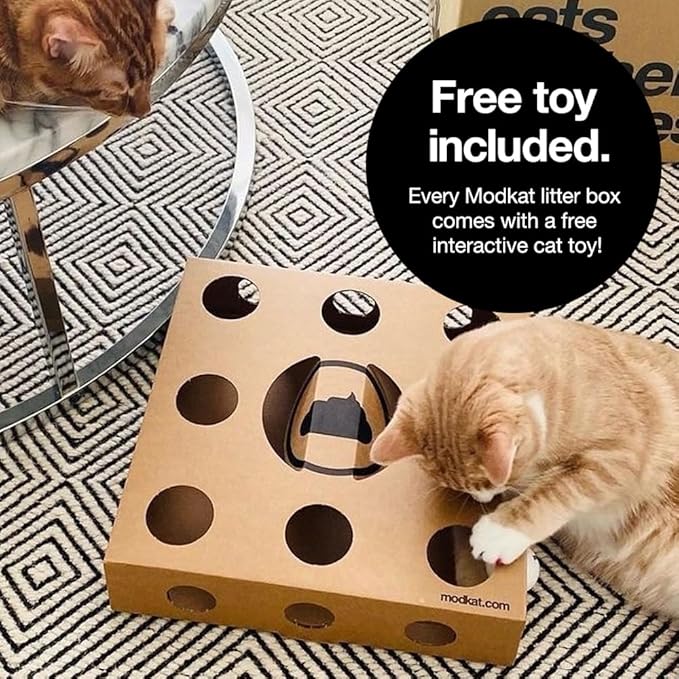 Modkat® XL Litter Box, Top or Front-Entry Configurable, Full Height Seamless Base, Reusable Litter Liners, Sifting Litter Scoop, 2X Bamboo Charcoal Filters - Black-Mewly Pet