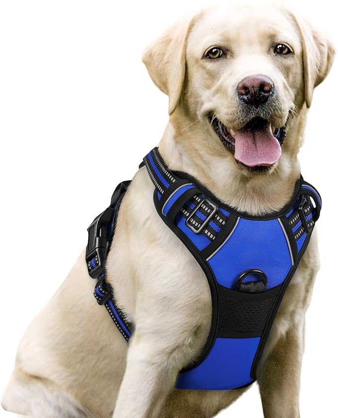 rabbitgoo Dog Harness No Pull with 2 Leash Clips, Adjustable Soft Padded, Reflective Oxford No Choke Pet Vest with Easy Control Handle for Large Dogs, Dazzling Blue, L-Mewly Pet