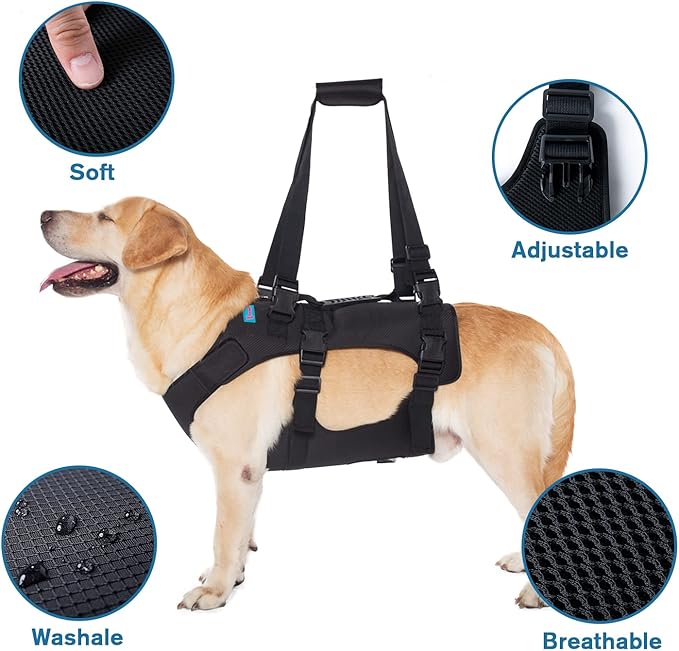 Dog Lift Harness, Rehabilitation Lifts Vest for Dogs, Support & Recovery Sling, Adjustable Breathable Lifting Straps for Old, Joint Injuries, Arthritis, Paralysis Dogs Walk (M, Black)-Mewly Pet