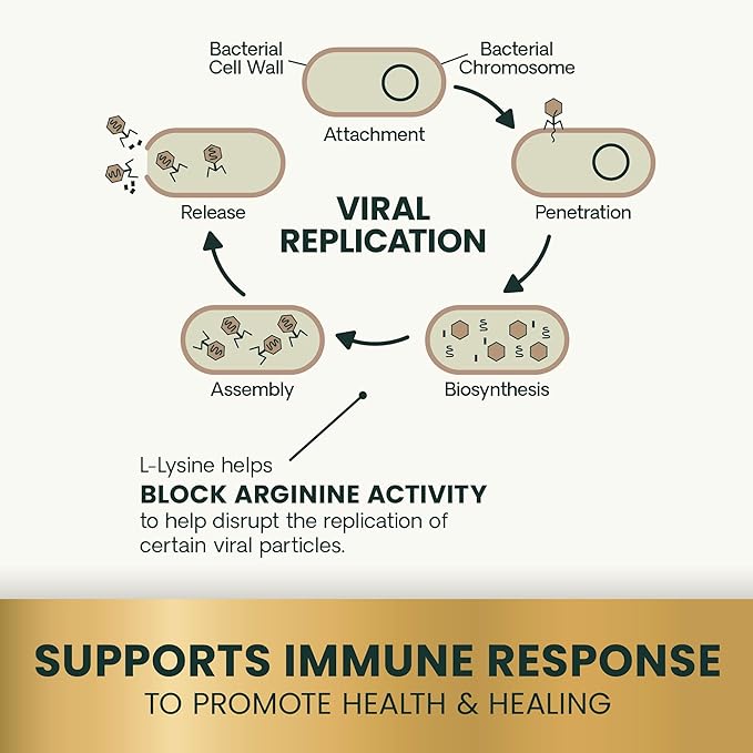 VetriScience Lysine Immunity Health Chews, 250 mg Lysine Plus Immune Supplement for Cats and Kittens with Allergies, Sneezing, Runny Nose and Watery Eyes, Chicken, 120 Count-Mewly Pet