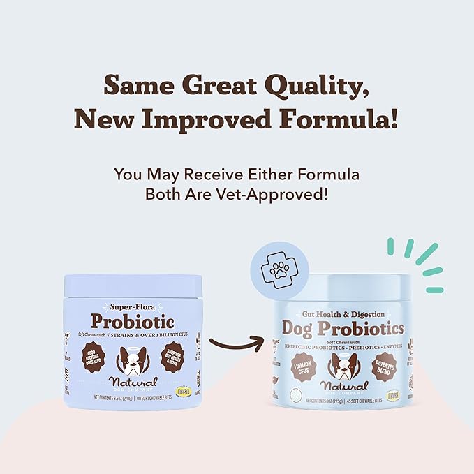 Natural Dog Company Gut Health & Probiotic Chews for Dogs (45 Ct), Prebiotics, Digestive Enzymes & Canine Specific Probiotics for Digestion, Gas, Loose Stool & Immune System Support, 1 Chew Daily-Mewly Pet