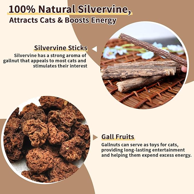 6 Pack Silvervine Cat Chew Toys, Natural Dental Sticks for Indoor Cats, Kittens Teeth Cleaning, Catnip Alternative, Interactive Play, Yellow-Mewly Pet