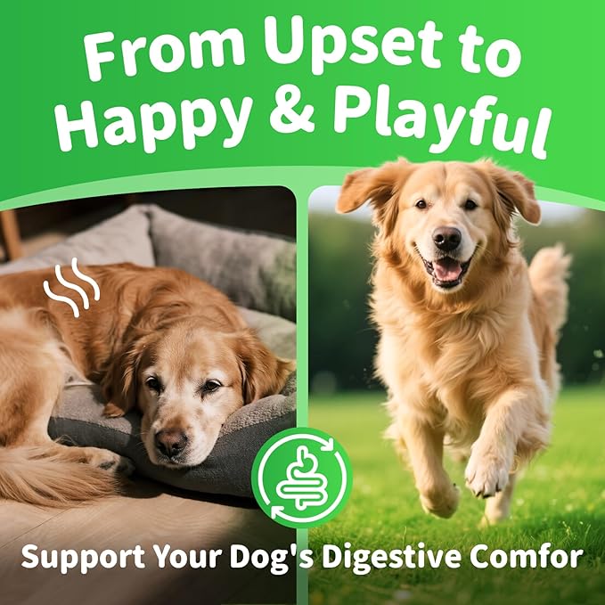 Premium Dog Digestive Enzymes and Probiotics with Pumpkin for Gut Health Support - Daily Chews for Digestion & Gas Relief - Chicken Flavor-90 Count-Mewly Pet