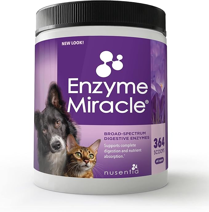 Digestive Enzymes for Dogs & Cats : Protein, Carbs, Starches & Fats Digestion : Supports Diet Change : Enzyme Miracle (364 Scoops, Powder)-Mewly Pet