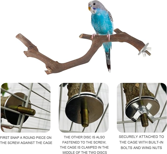 5PCS Bird Perch Stand Natural Wooden Parrot Stand Branch,3 Grape Wood Perch,2 Stand,Paw Grinding Fork Parakeet Chewing Stick Exercise Training Branches for Cockatiels,Small Medium Birds-Mewly Pet