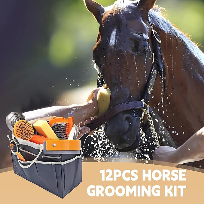 Horse Grooming Kit, Horse Grooming Supplies Includes 12 Horse Hair Care Tools Such as Handbag, Horse Brush, Horse Comb, Hoof Pick, Sweat Scraper, Etc., Suitable Gifts for Horse Riding Enthusiasts-Mewly Pet