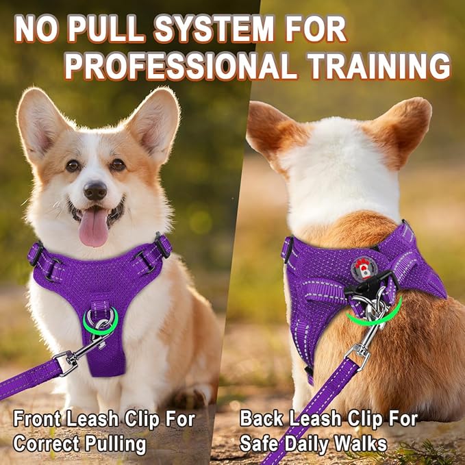 Dog Harness Step in Dog Vest Harness, Reflective Adjustable Puppy No Pull Harness Breathable Soft for Small and Medium Dogs Cats, Purple, XXS-Mewly Pet